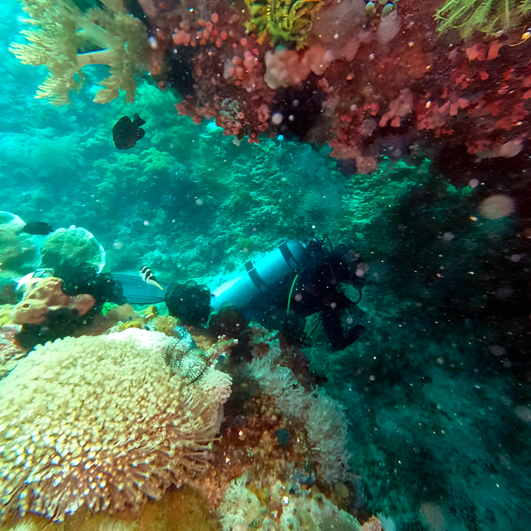 PADI Enriched Air (Nitrox) Diver Course in Ticao Island