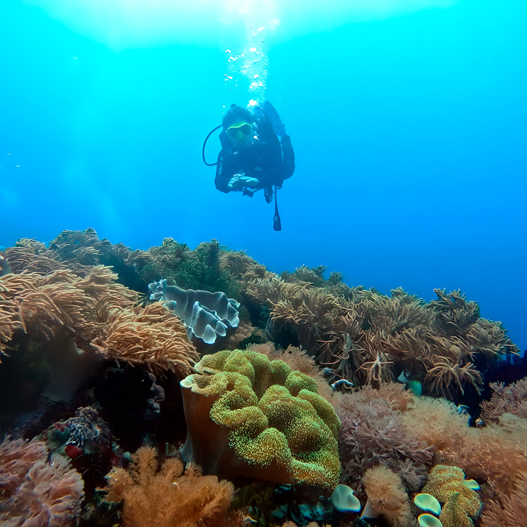 PADI Discover Scuba Diving