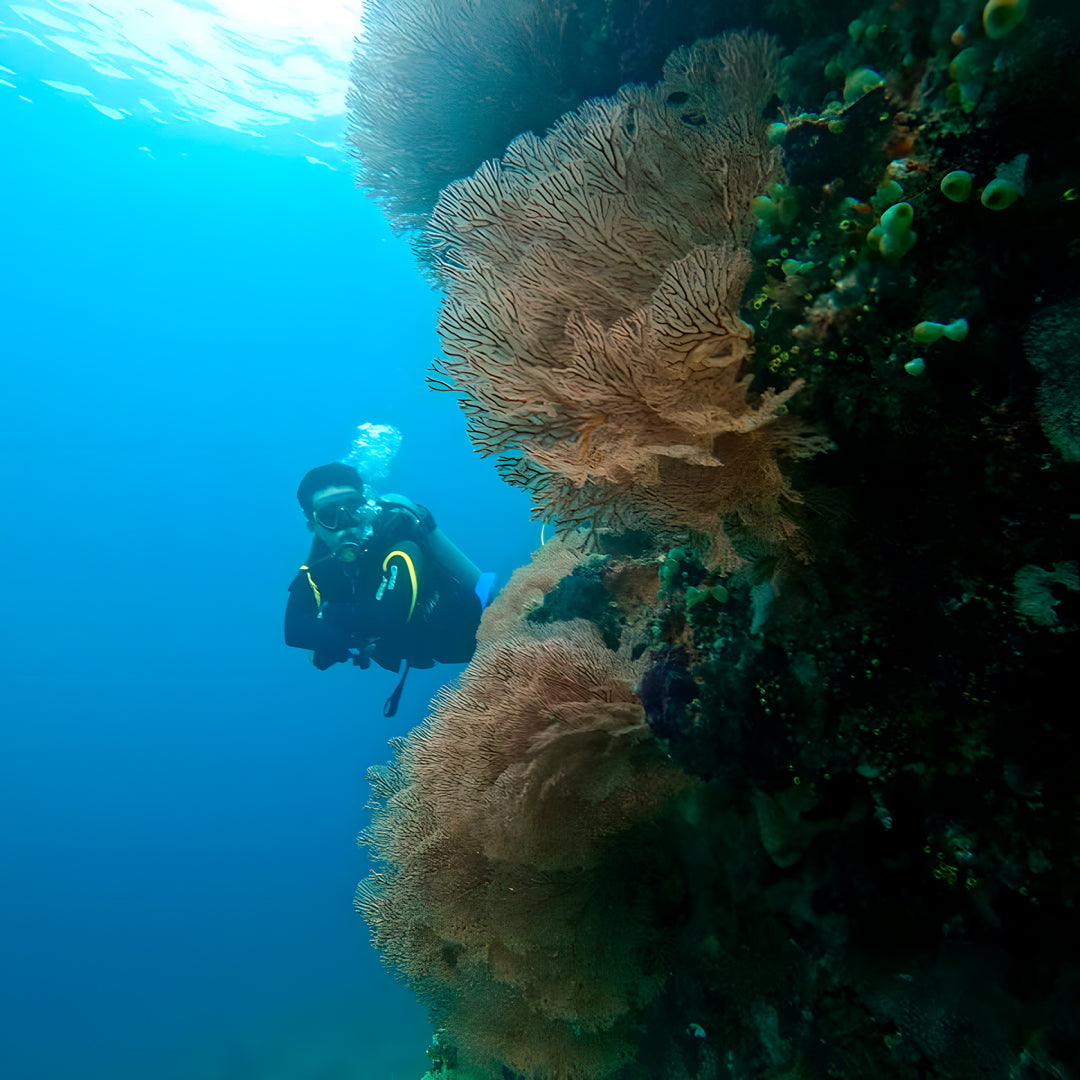 PADI Discover Scuba Diving