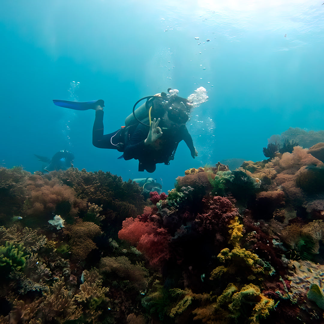 Buceo recreativo - Isla Ticao