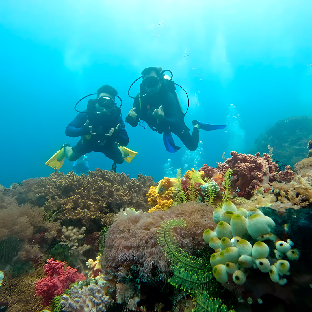 11D10N Buceo Ticao Plus