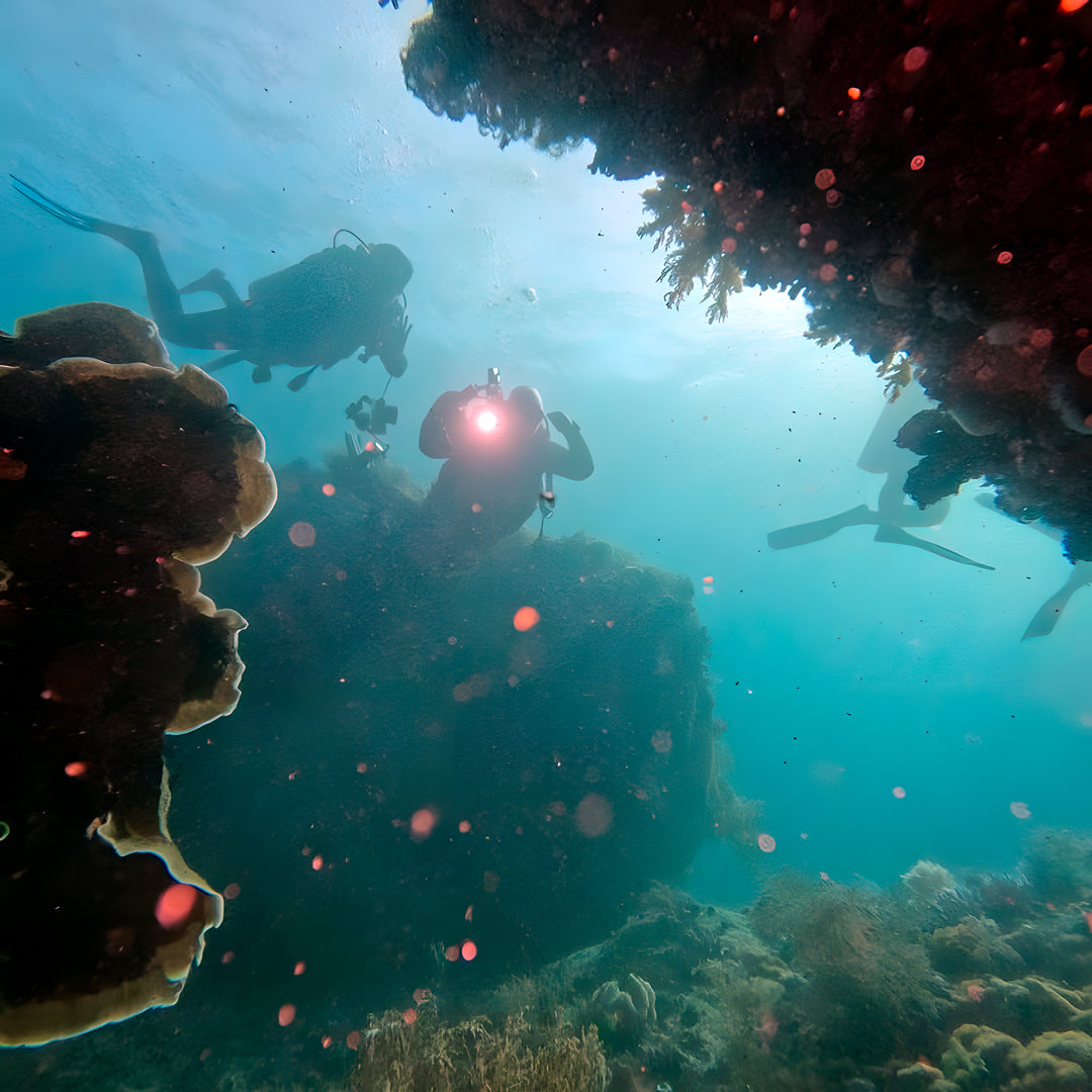 PADI Discover Scuba Diving