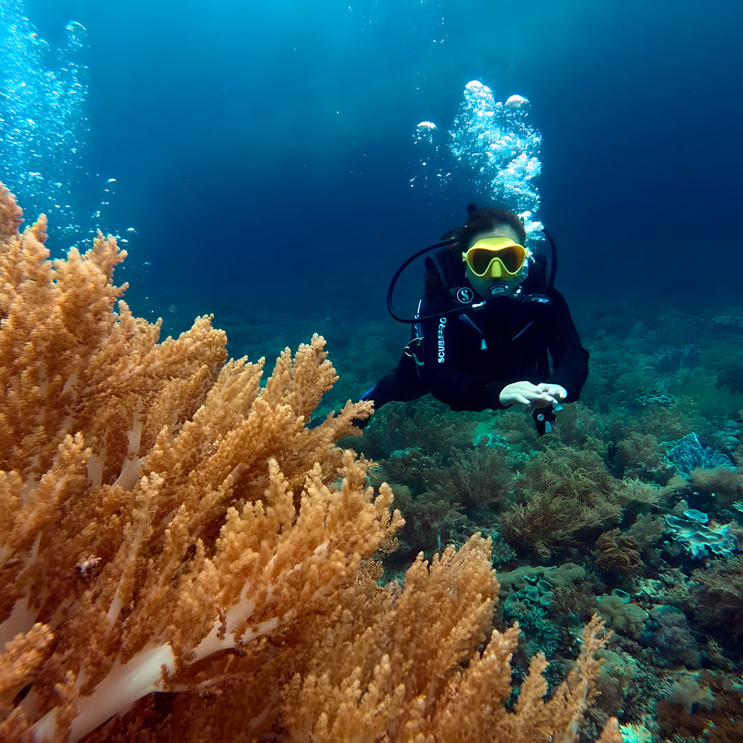 8D7N Buceo y Relax
