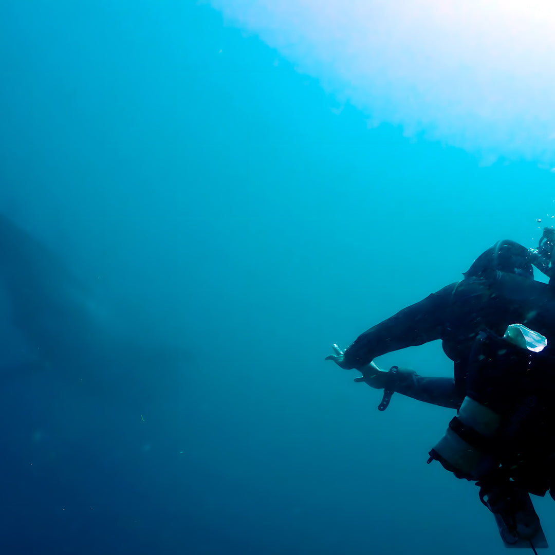 8D7N Buceo y Relax