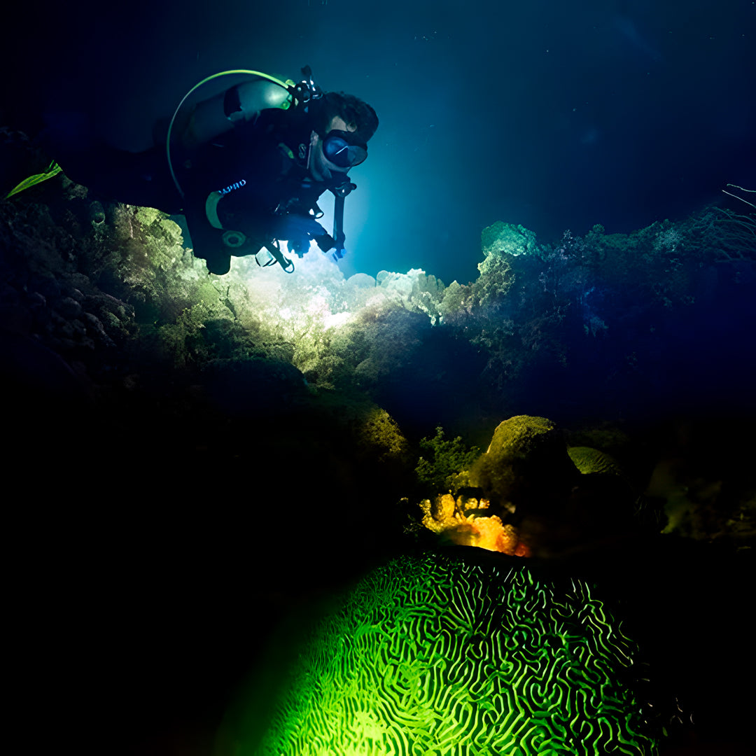 8D7N Buceo y Relax