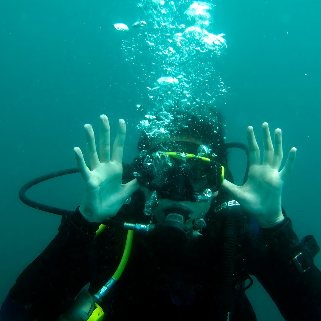 11D10N Buceo Ticao Plus
