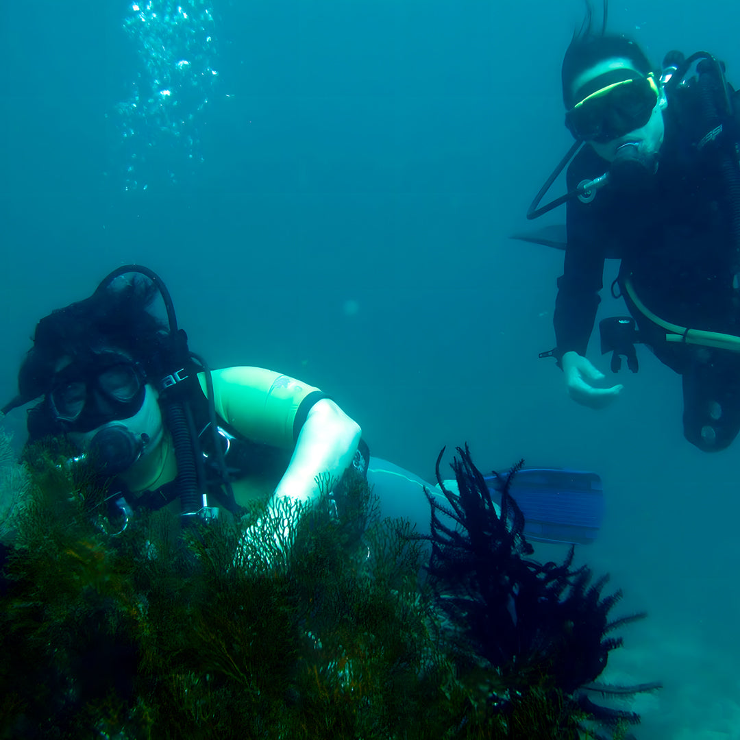 PADI Rescue Diver in Ticao Island
