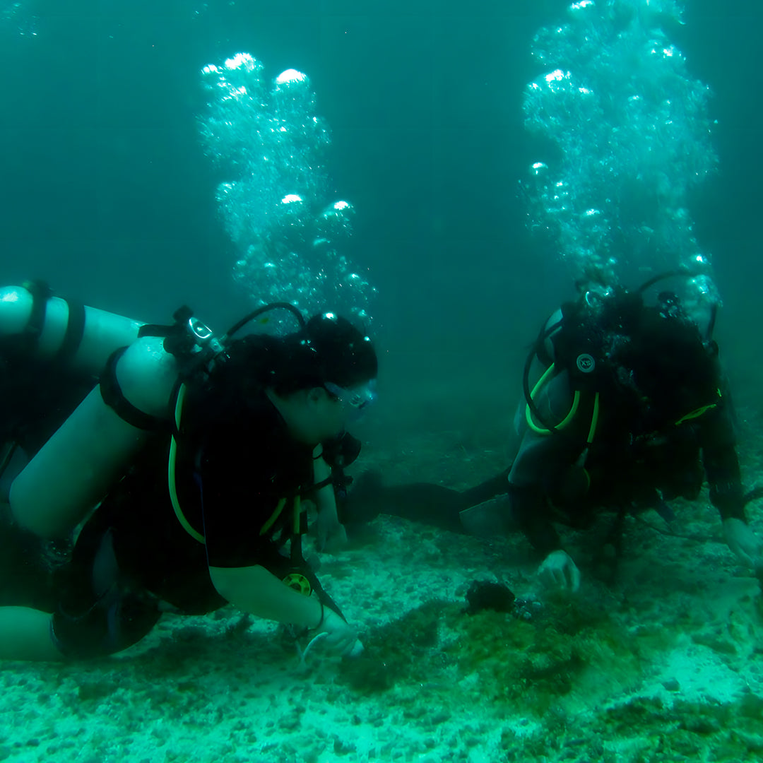 PADI Enriched Air (Nitrox) Diver Course in Ticao Island