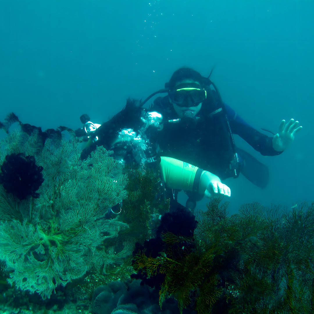 11D10N Buceo Ticao Plus