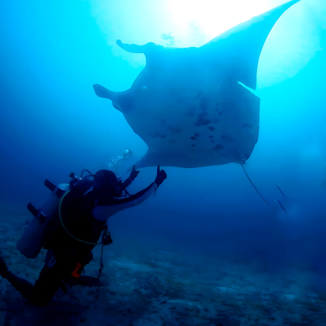 PADI Rescue Diver in Ticao Island
