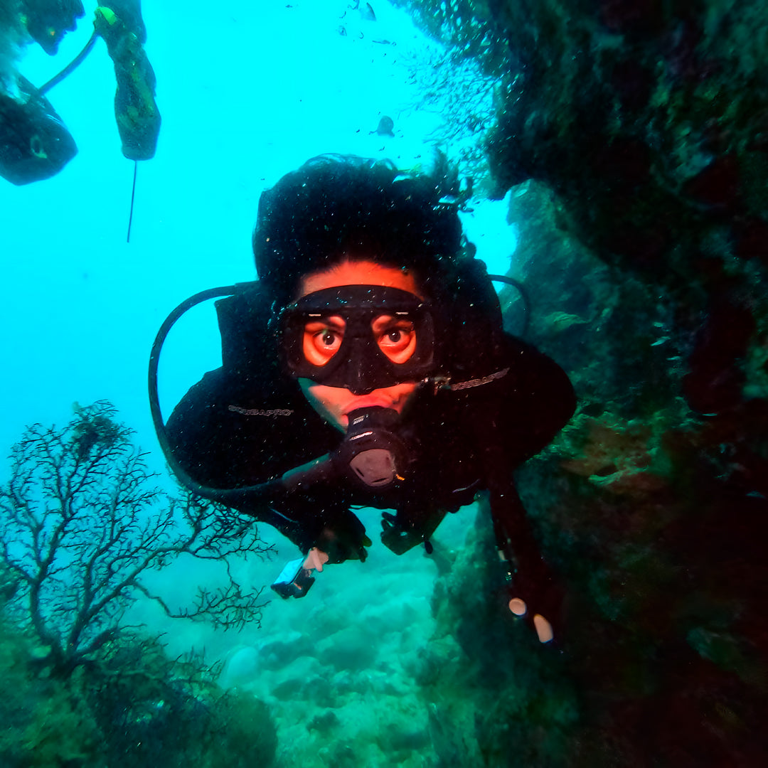 Curso de Divemaster de PADI