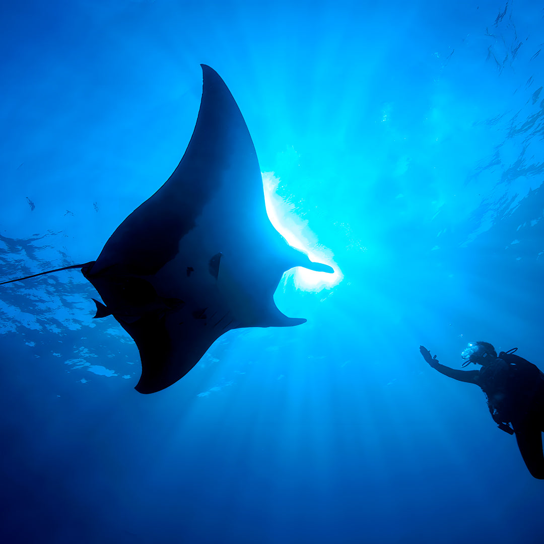 PADI Enriched Air (Nitrox) Diver Course in Ticao Island