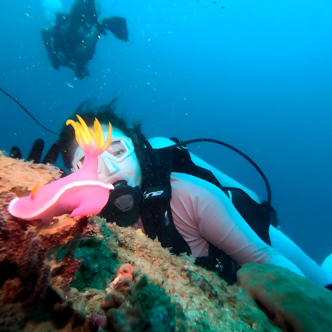 5 días y 4 noches de buceo en Ticao y más