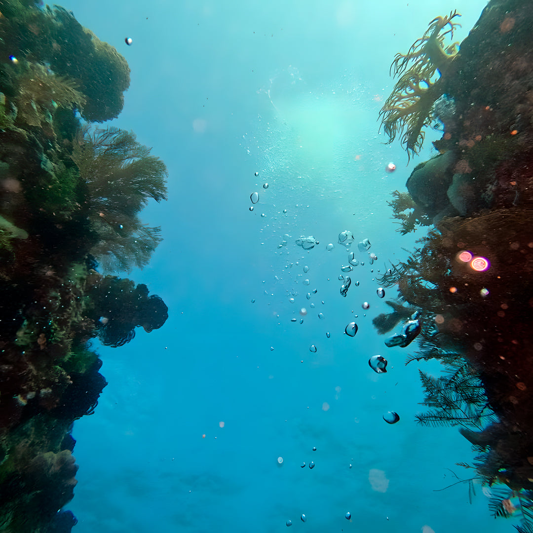 PADI Discover Scuba Diving