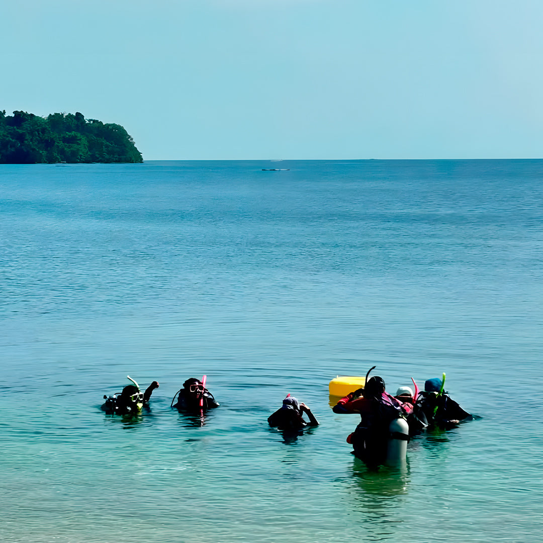 11D10N Buceo Ticao Plus