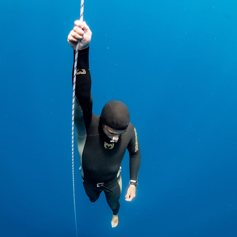 Whale Diving Timor Leste