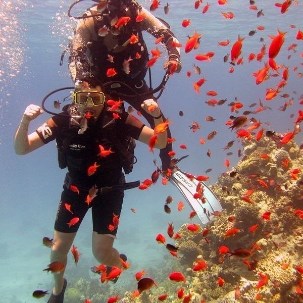 Full Day Tiran Island Boat Trip