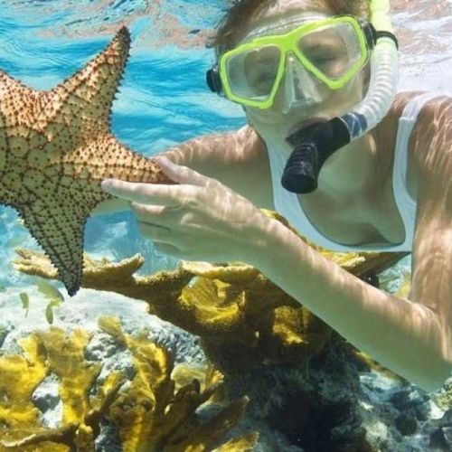 Full Day Tiran Island Boat Trip