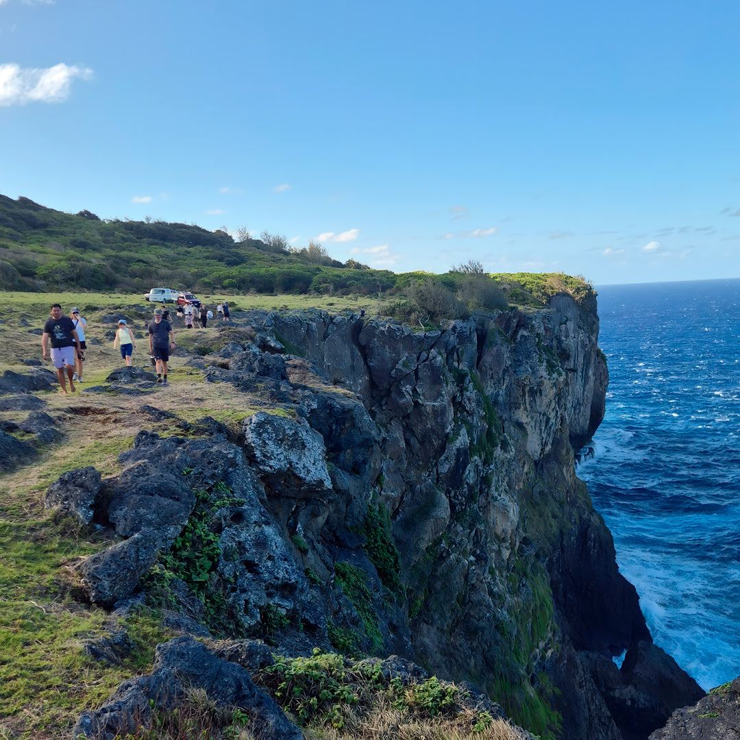 Tonga Humpback Whale Dive Trip