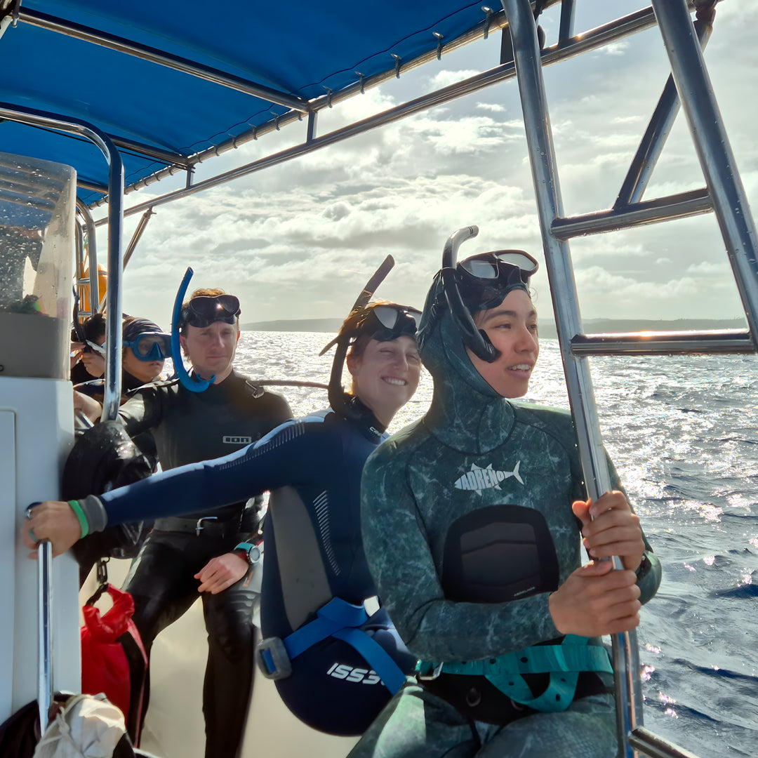 Tonga Humpback Whale Dive Trip