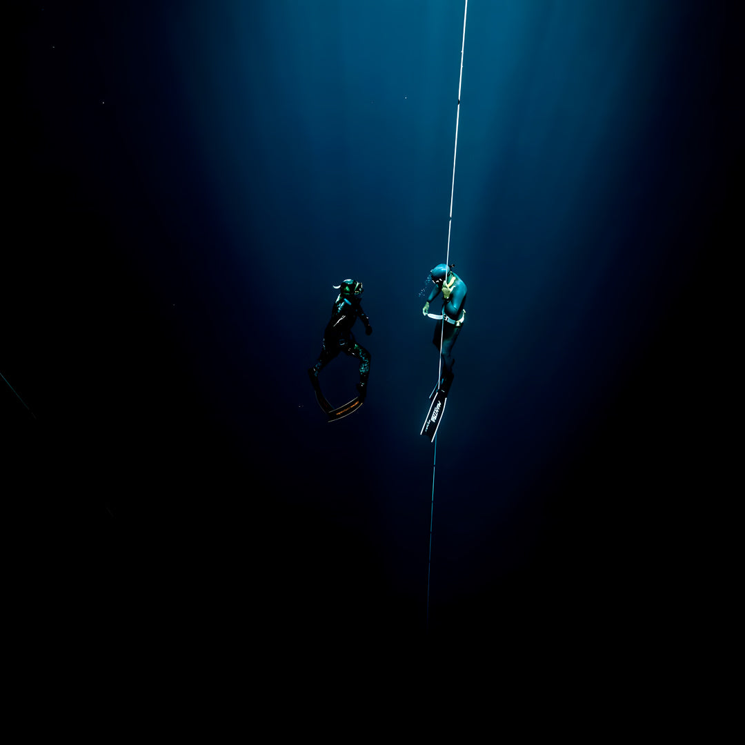Tonga Humpback Whale Dive Trip Freediving Central