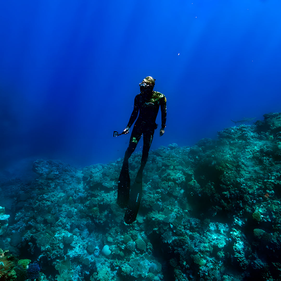 Tonga Humpback Whale Dive Trip Freediving Central