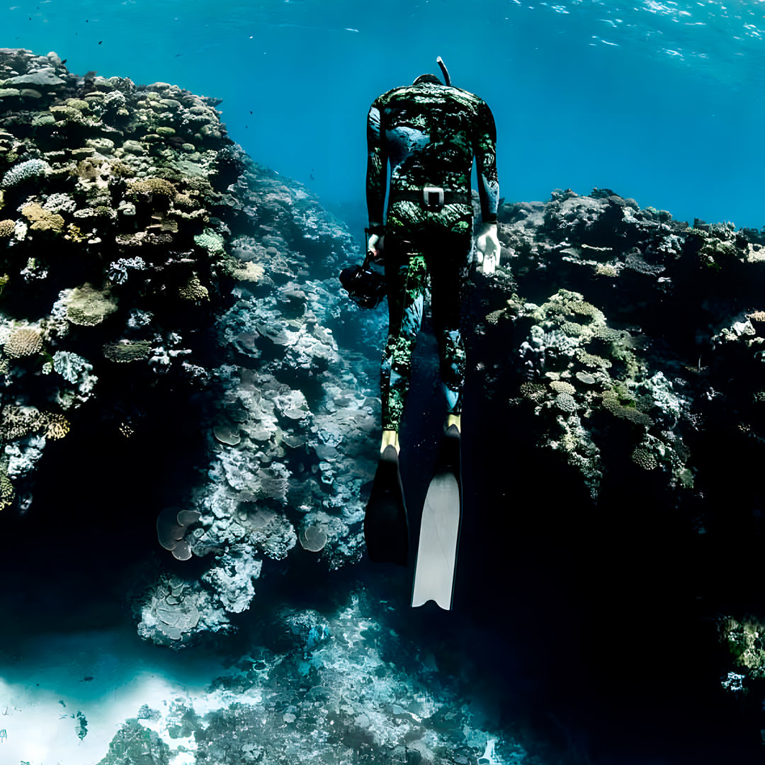 Tonga Humpback Whale Dive Trip Freediving Central