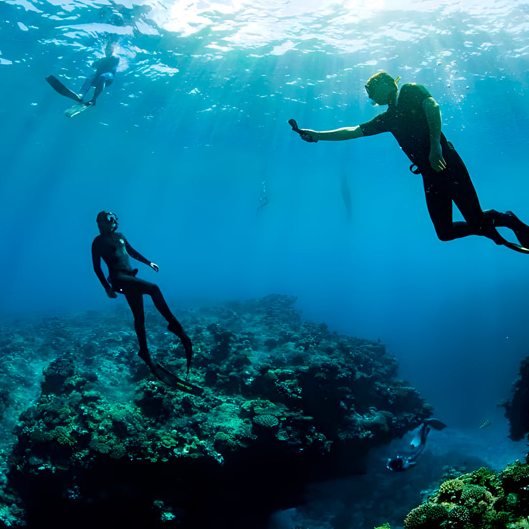 Tonga Humpback Whale Dive Trip Freediving Central