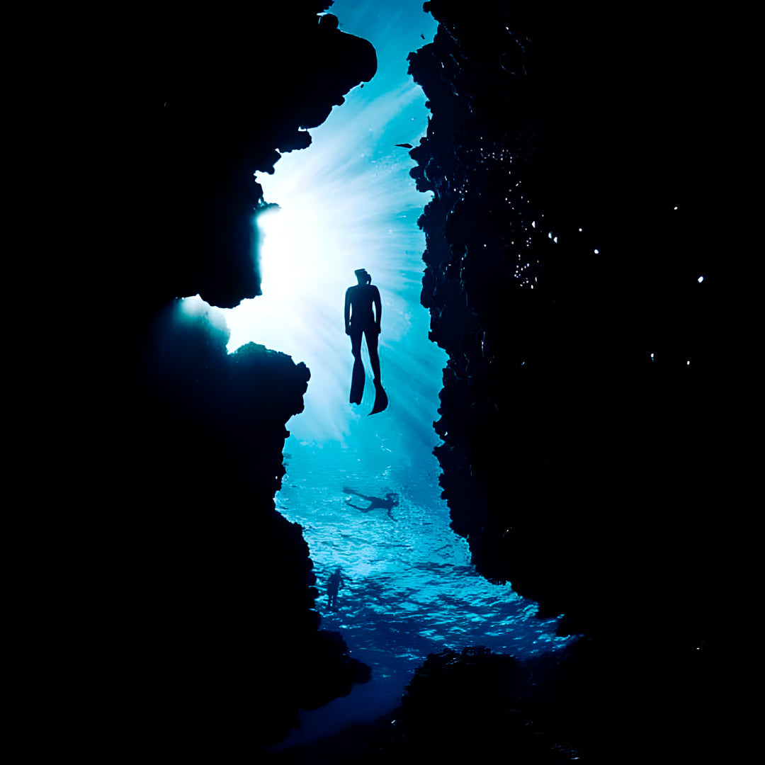 Tonga Humpback Whale Dive Trip Freediving Central