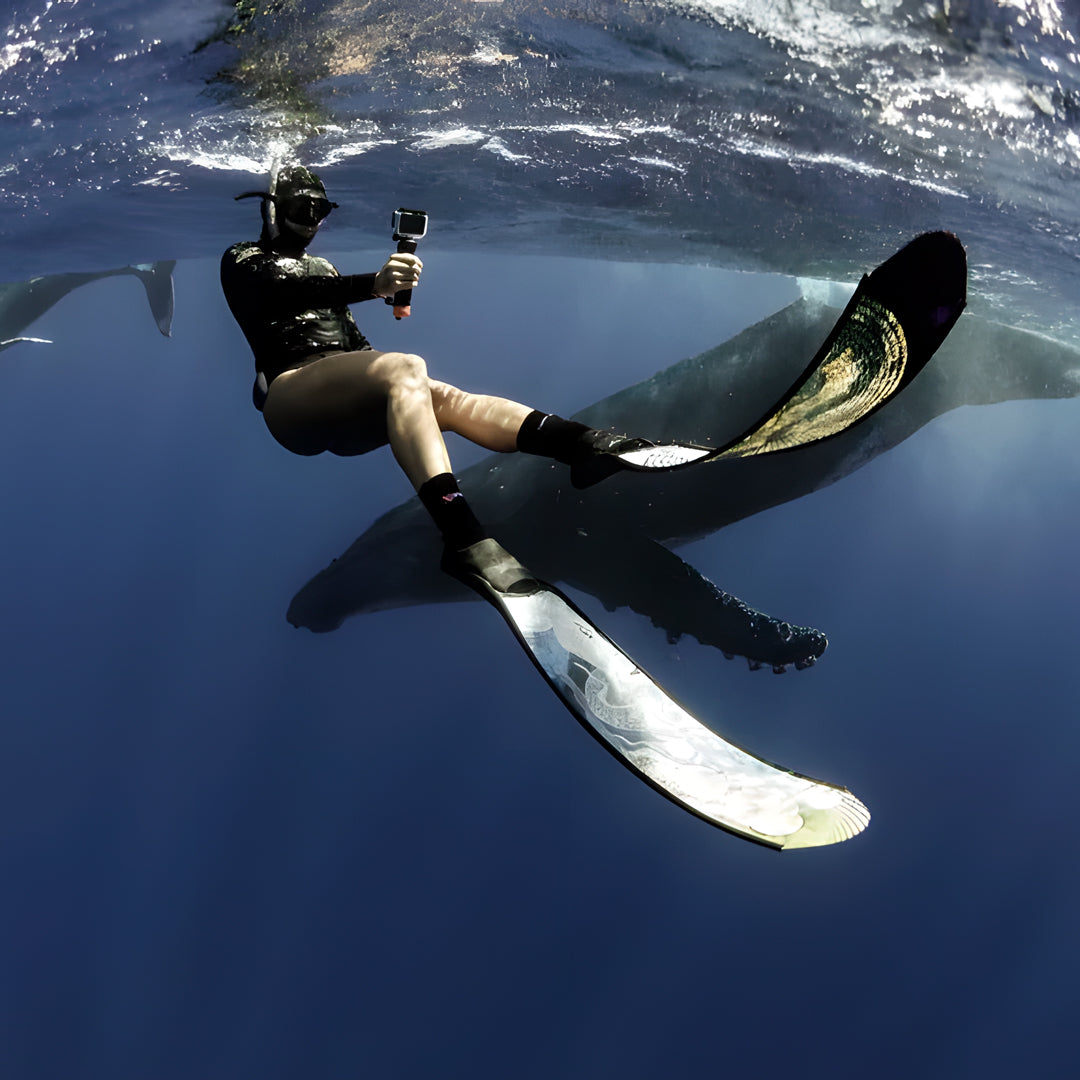 Tonga Humpback Whale Dive Trip Freediving Central