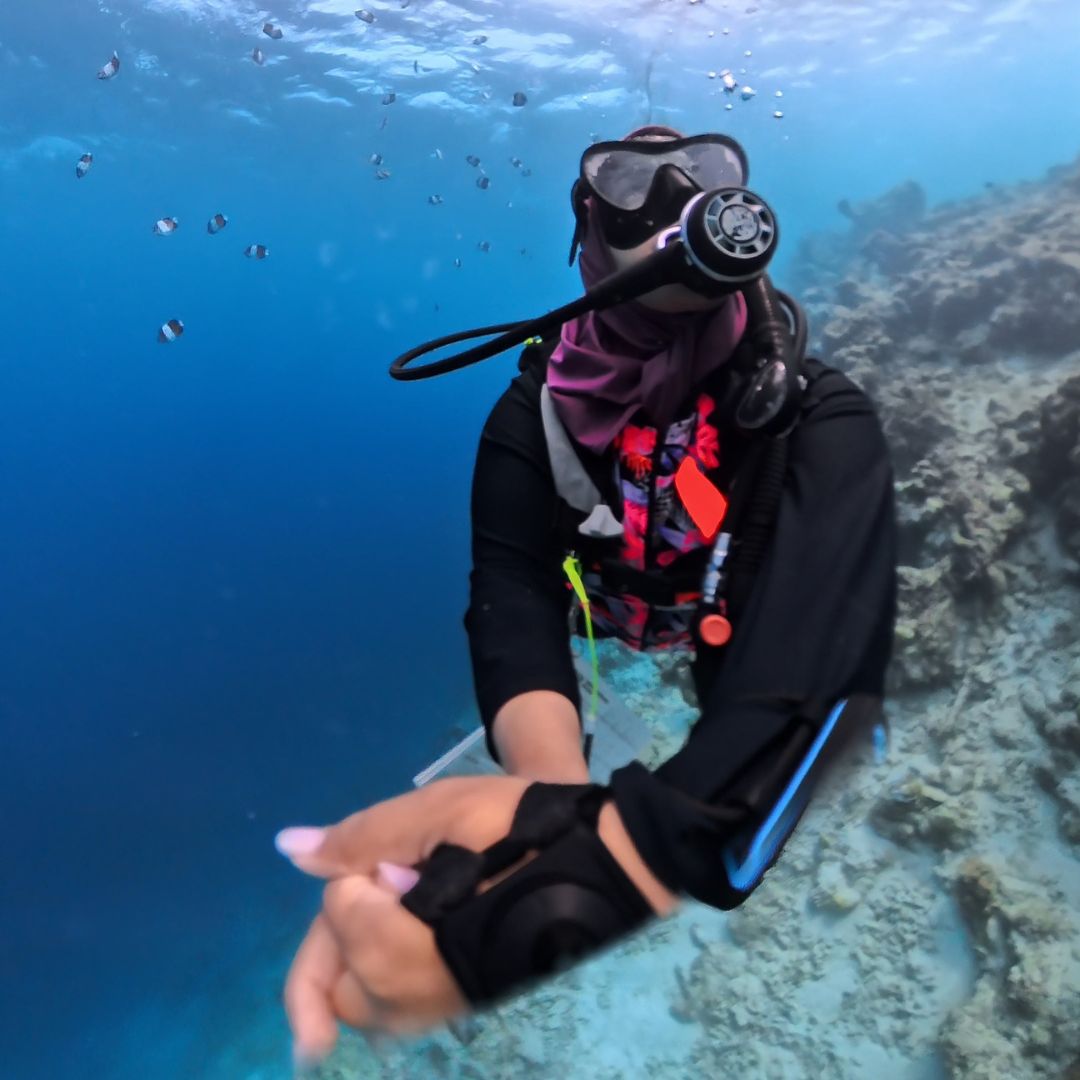 PADI Open Water Diver Course