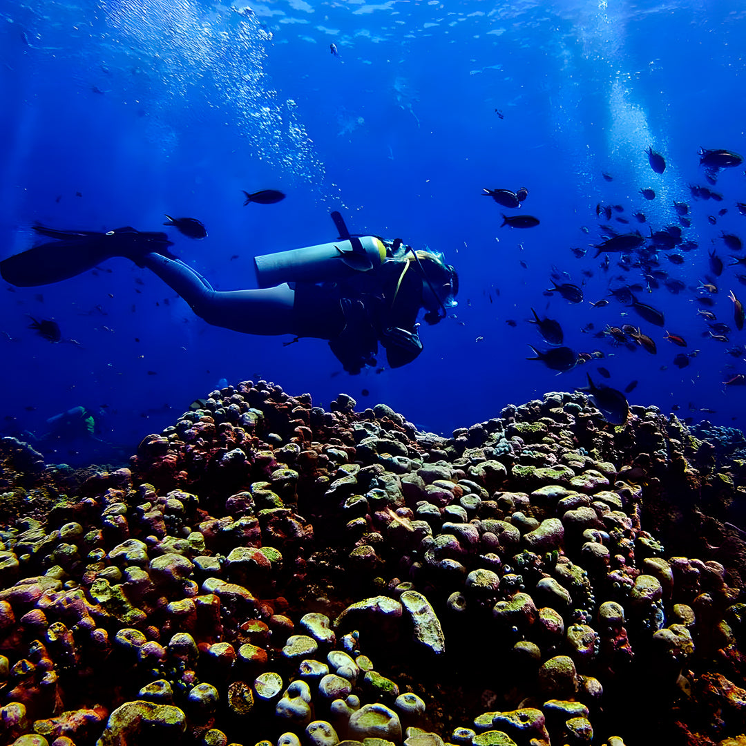 Gili Islands Advanced Open Water Diver Course