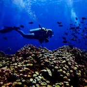 Gili Islands Advanced Open Water Diver Course