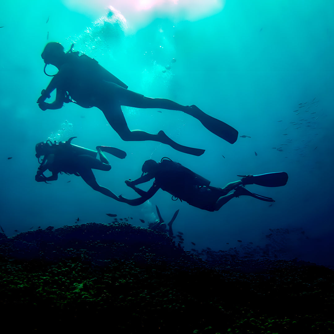 Gili Islands Guided Boat Fun Dives