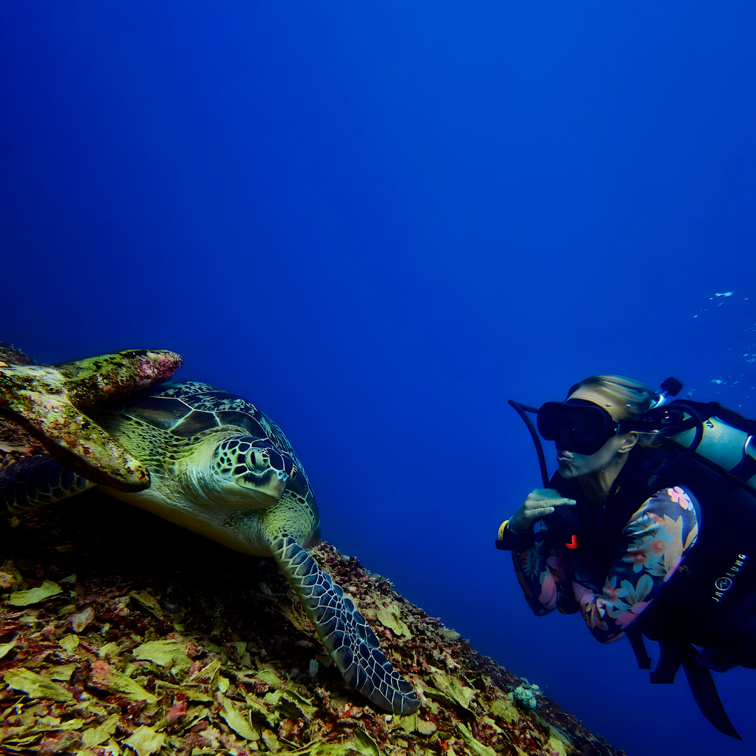 Gili Islands Guided Boat Fun Dives