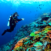 Gili Islands Guided Boat Fun Dives