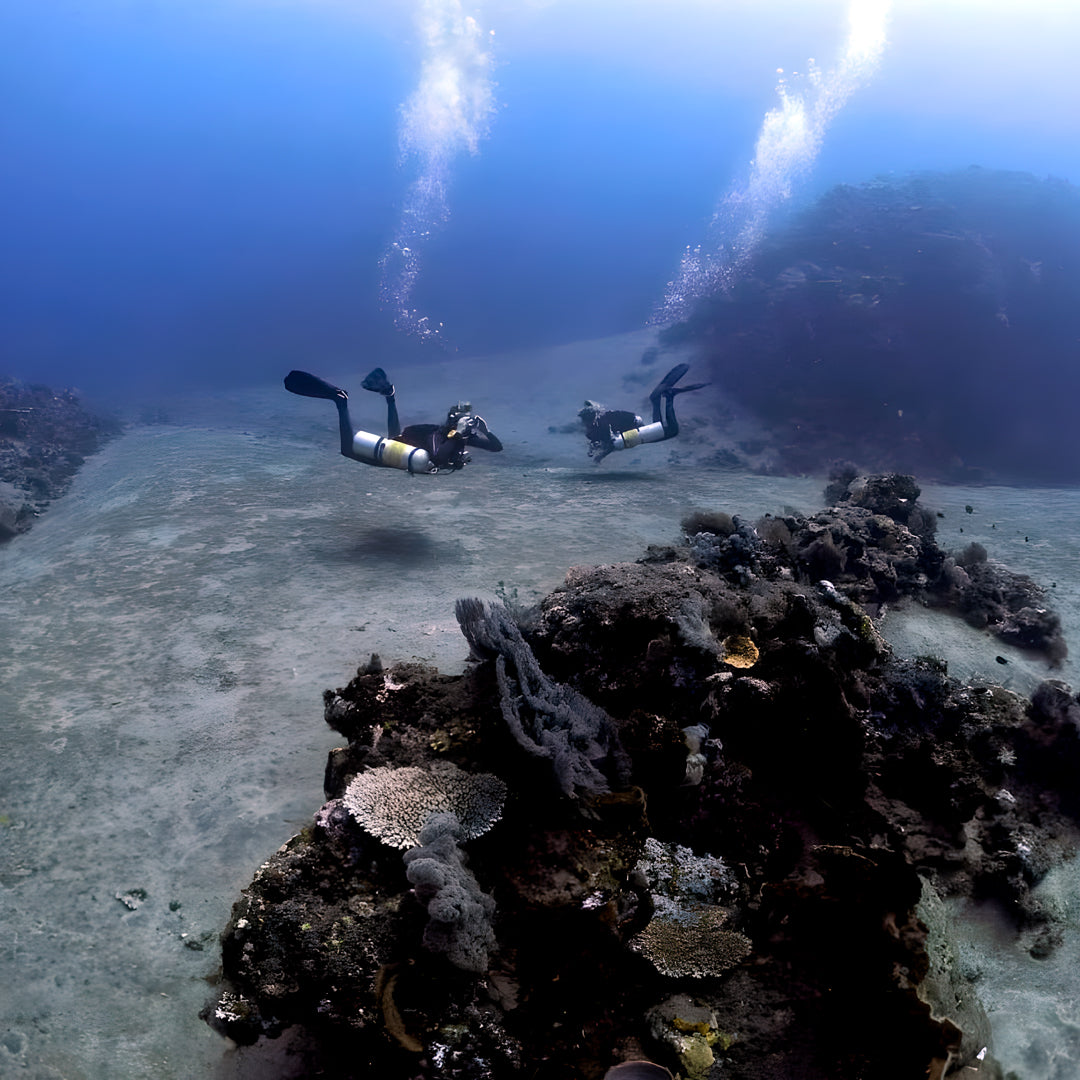 Gili Islands Guided Boat Fun Dives