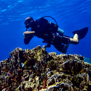 Gili Islands Guided Nitrox Fun Dive