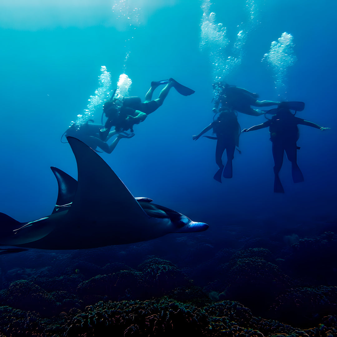Gili Islands PADI Scuba Diver Course