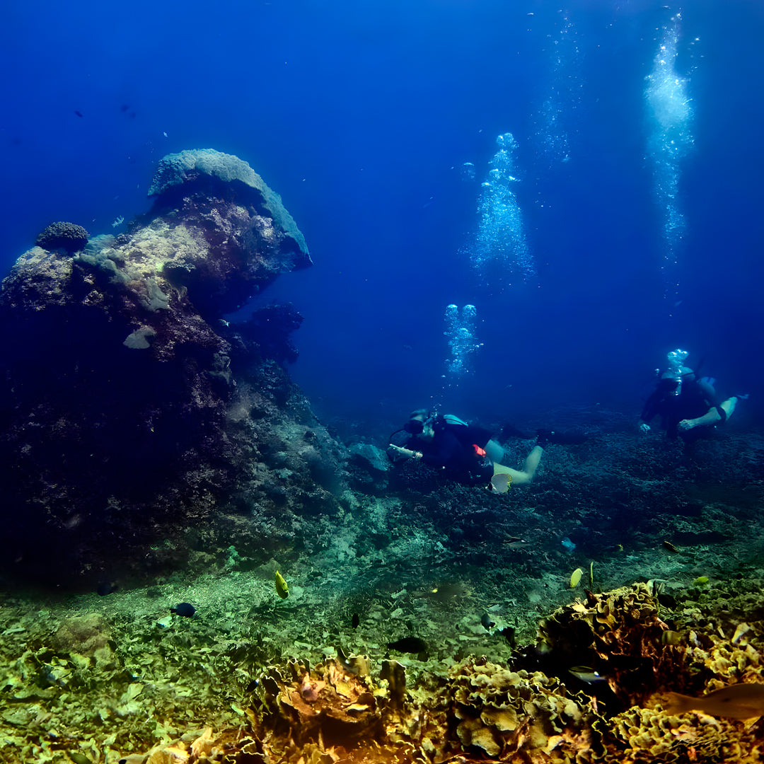 Gili Islands PADI Open Water Diver Course