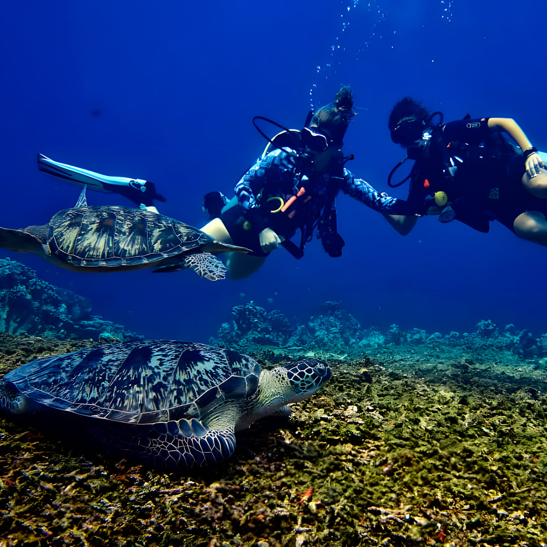 Gili Islands Guided Nitrox Fun Dive