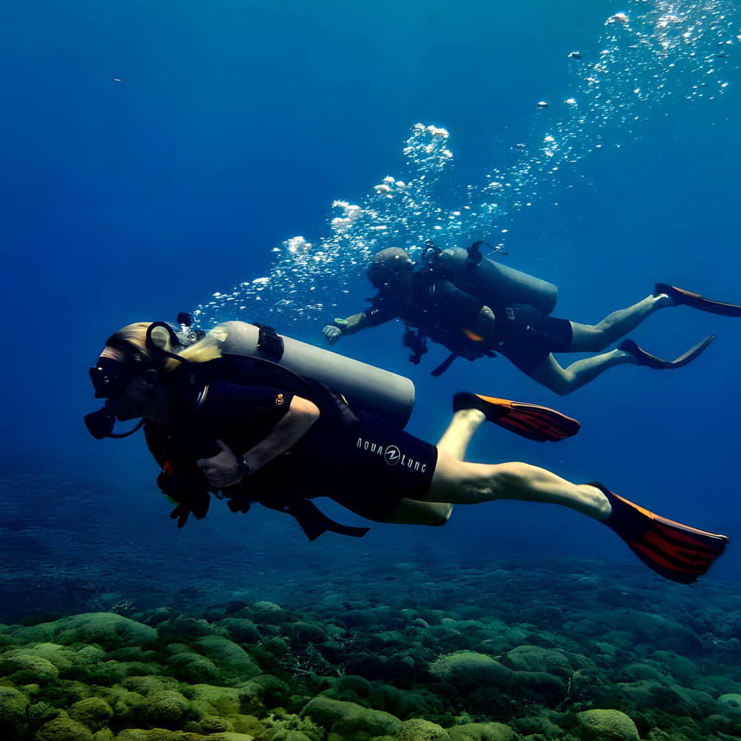 Gili Islands Night Dive