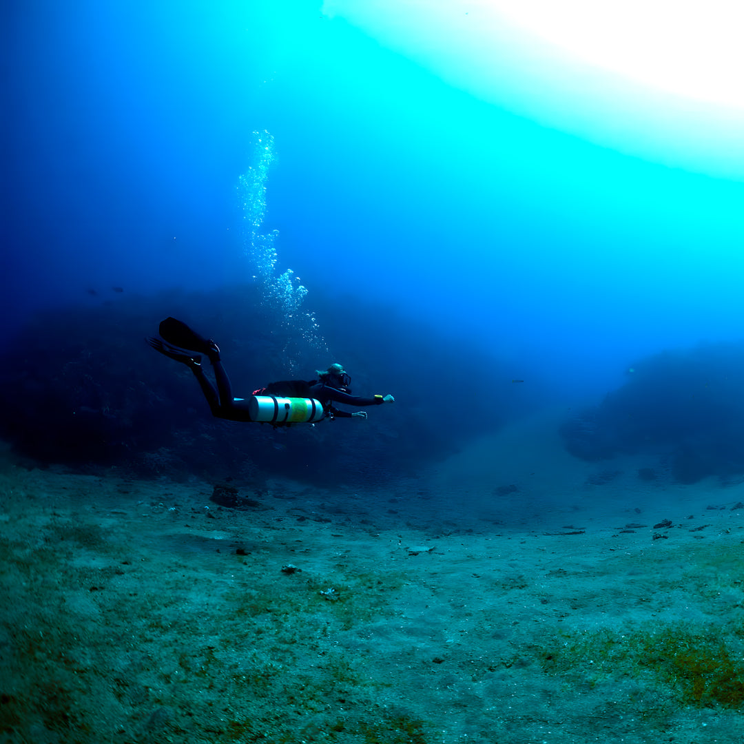 PADI Project AWARE Shark Conservation Specialty