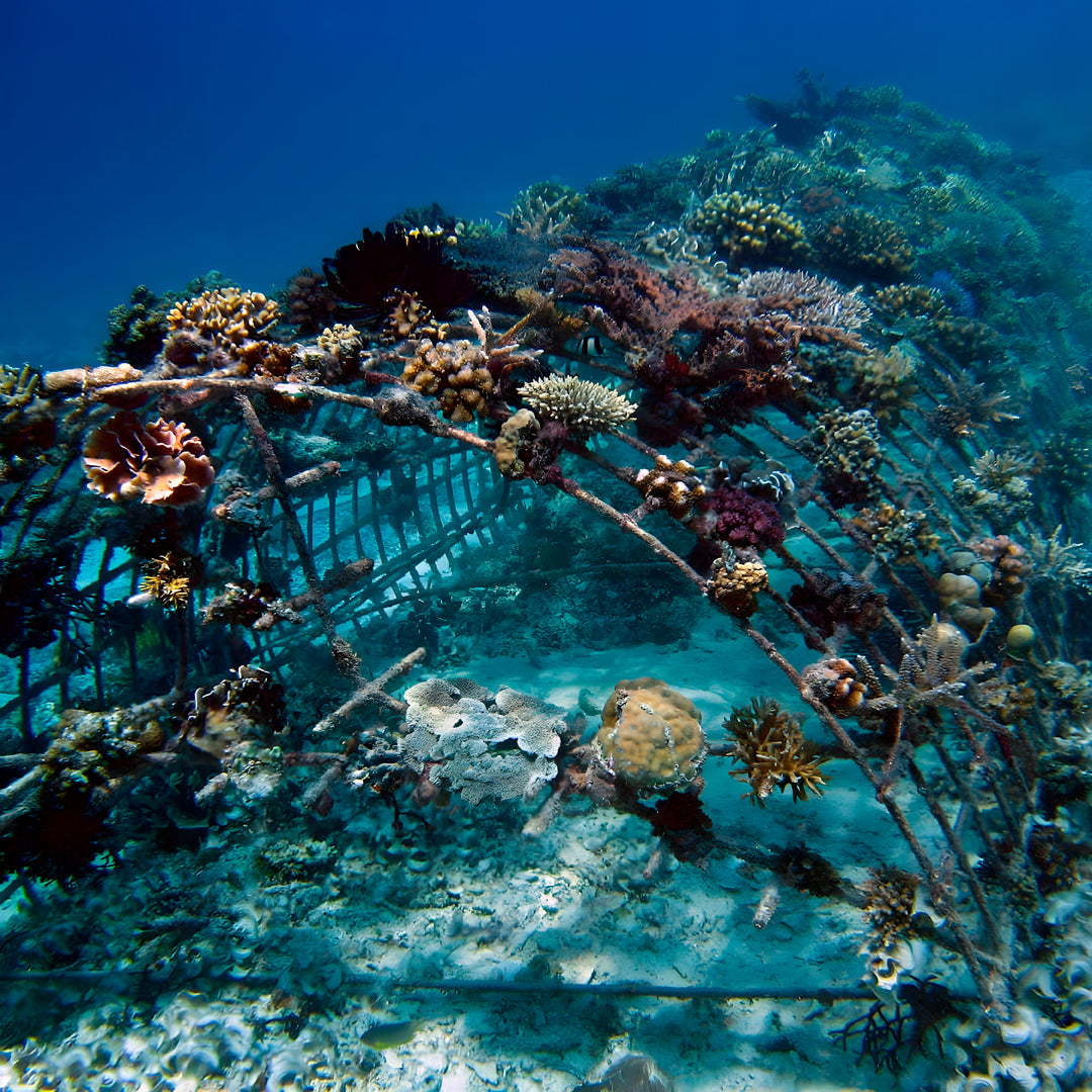 PADI Drift Diver Specialty Course