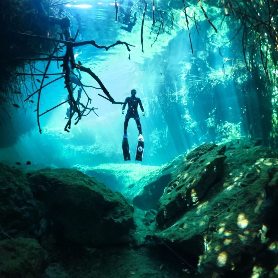 Tulum Discover Freediving Experience