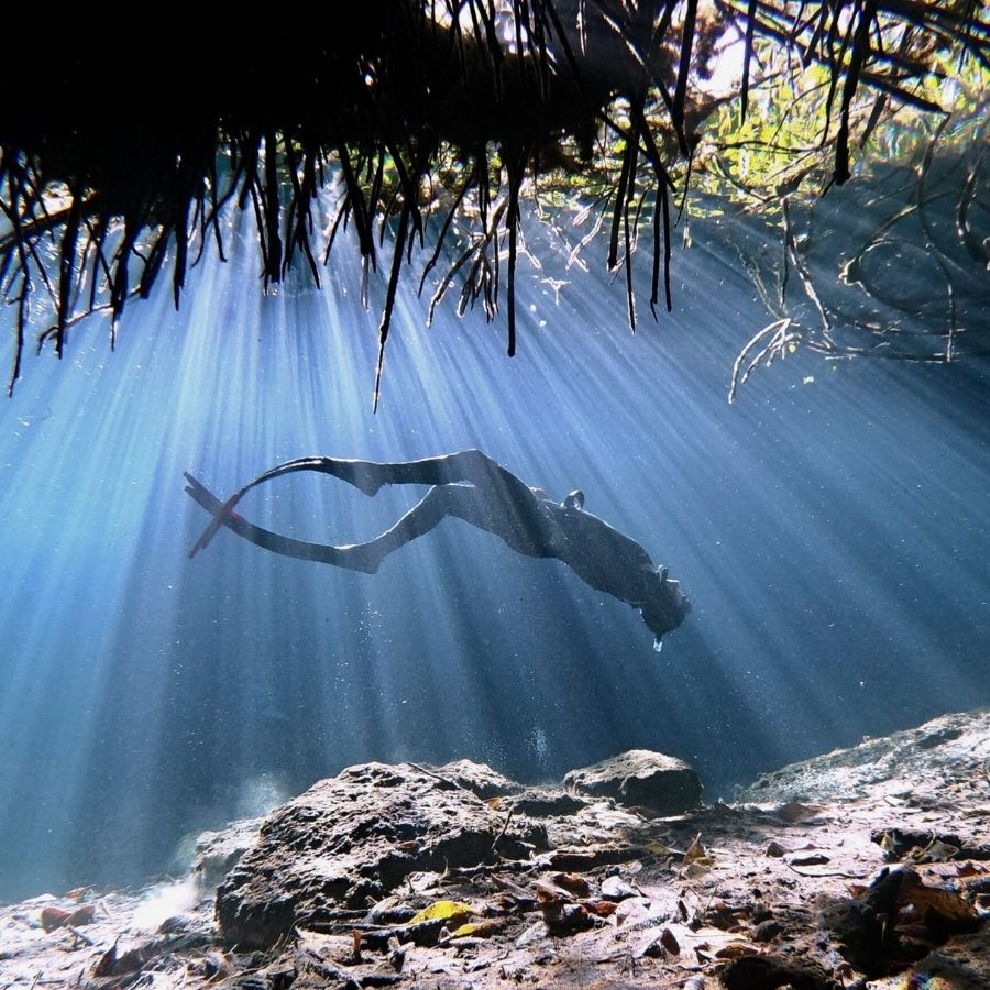 Tulum Discover Freediving Experience