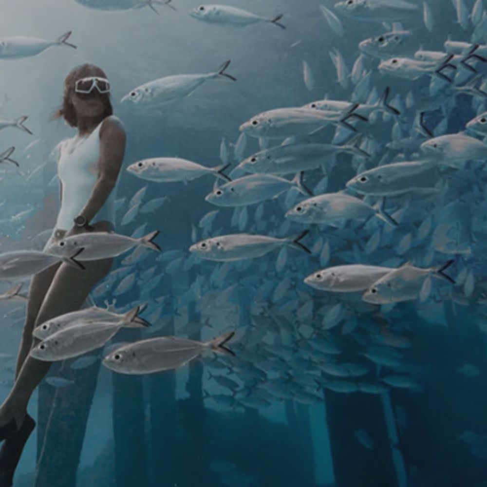 Bali Beginner Freediving Course