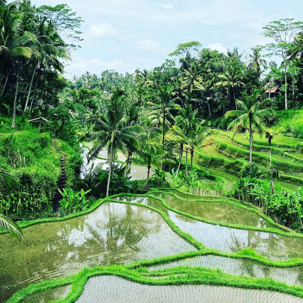 Bali Beginner Freediving Course