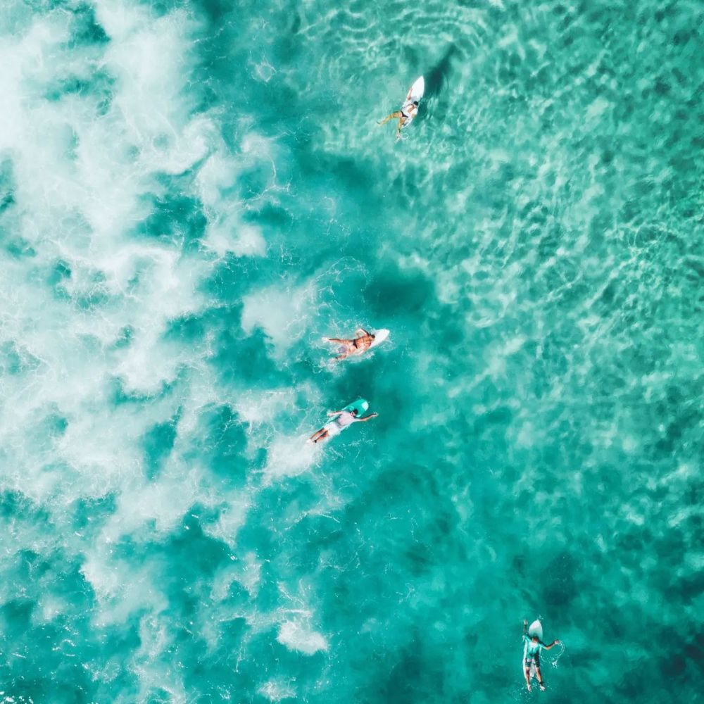 Bali Beginner Freediving Course