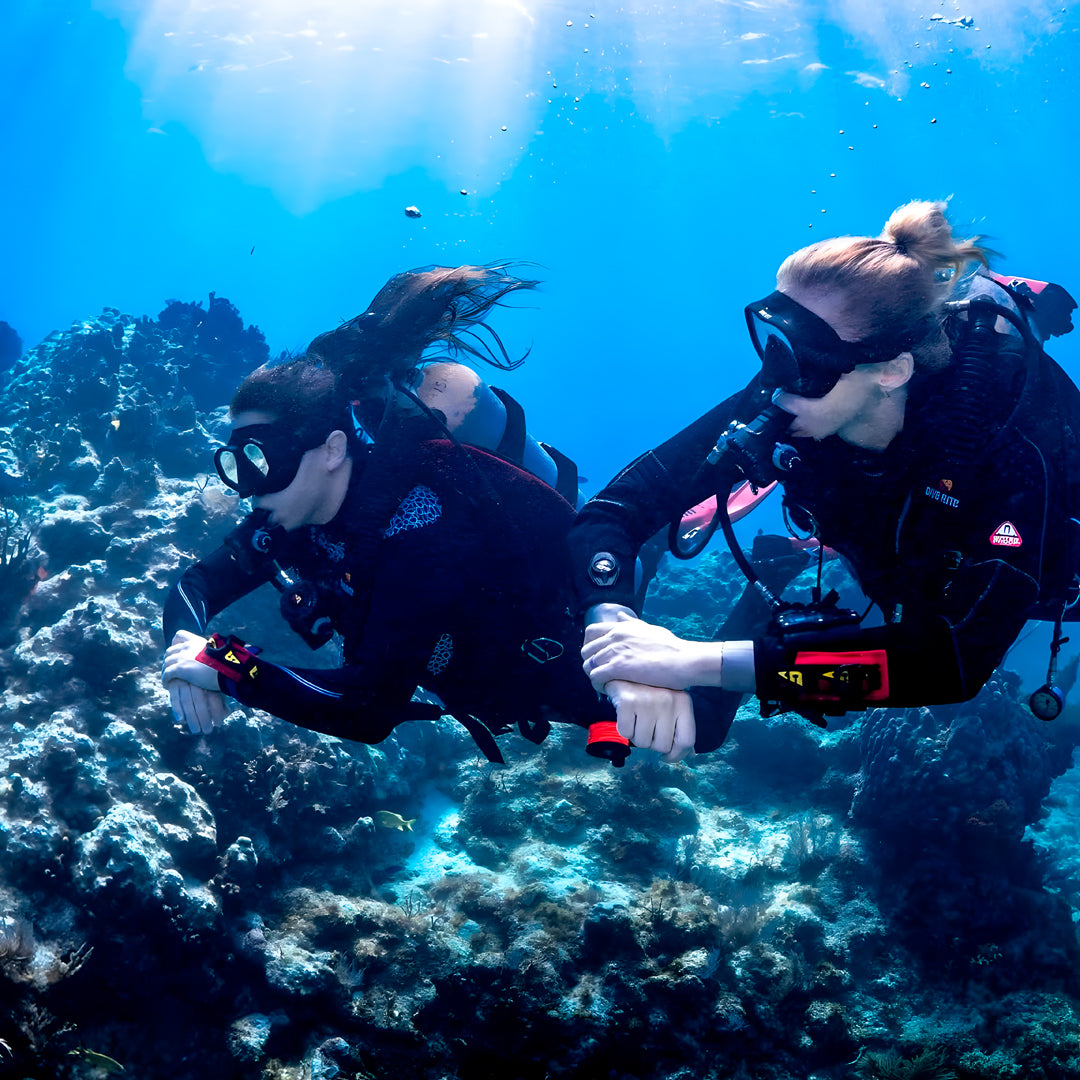 Scubility Dive Buddy Course in Queensland